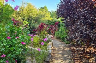 The Little Issues Publication #486 – Life, laughter, and many nice meals!