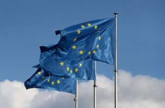 European policymakers need to ease AI and privateness legal guidelines