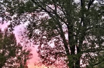 The Little Issues E-newsletter #494 – Life, laughter, and plenty of nice meals!