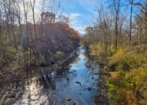 The Little Issues E-newsletter #497 – Life, laughter, and plenty of nice meals!