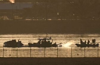 FAA May Have Prevented Deadly D.C. Aircraft Collision, Investigation Finds