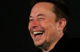 You’ll By no means Imagine This however Elon Musk Doesn’t Get to Pay TSA Staff’ Salaries