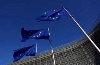 EU says Pornhub and others didn’t cease minors accessing grownup content material