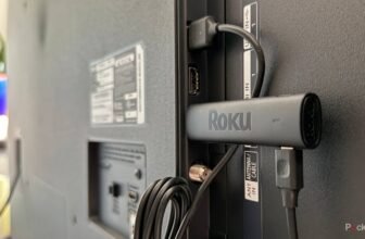 You need to by no means, ever purchase this type of Roku