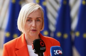 Estonia is the uncommon EU nation opposing baby social media bans