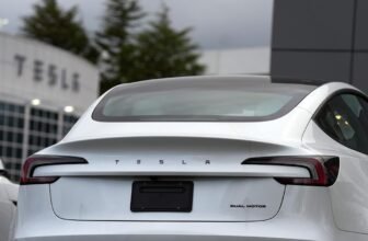 Musk pledges to repair 2019-2023 Teslas that may’t totally self drive
