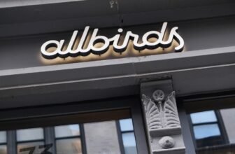 Earlier than Its Pivot to AI, Allbirds Sounded Very Totally different