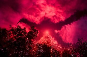 PlayStation Plus April catalog provides embrace Horizon Remastered, Squirrel with a Gun and Frank Stone