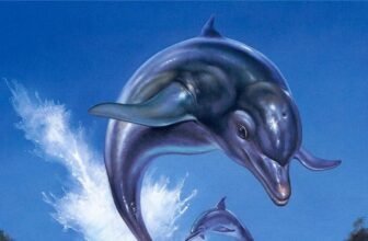 Full will mix remasters and a sequel into one package deal