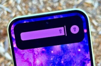 I gave my Pixel a Dynamic Island, and it places the iPhone to disgrace