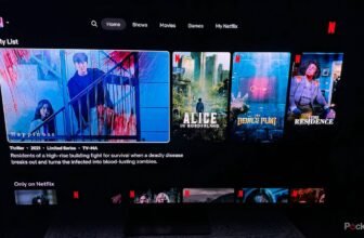 The very best time to cease streaming was yesterday, the second greatest ime is right now’