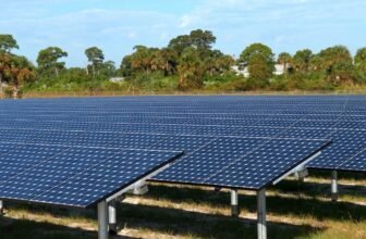 Scientists Generated Photo voltaic Energy After Darkish, Because of a Trick Utilizing Wooden